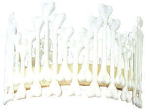 crown-of-bones-52.png