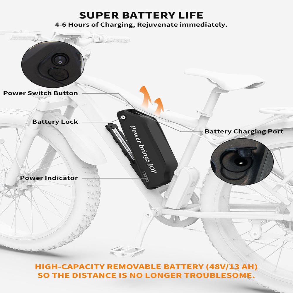 d19ebk015-48v750w-06_202a.jpg