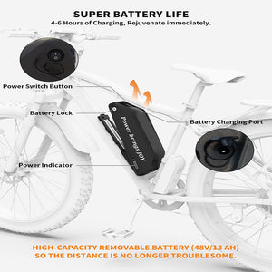 d19ebk015-48v750w-06_202a.jpg