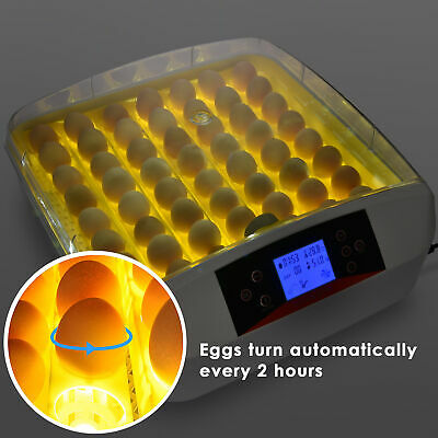 digital-egg-incubator-turkey-hatchery-55-chicken-duck-bird-birthing-auto-turning-44.png