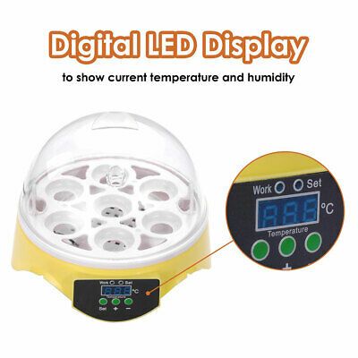 digital-mini-incubator-chicken-duck-bird-quail-hatcher-brooding-7-eggs-kids-gift-35.png