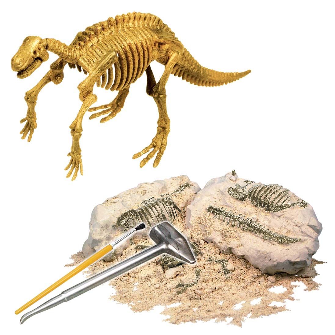 dino-digs-iguanodon-50.png