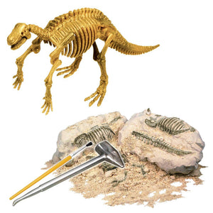 dino-digs-iguanodon-50.png