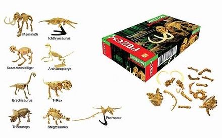 dinosaur-skeleton-model-24.png