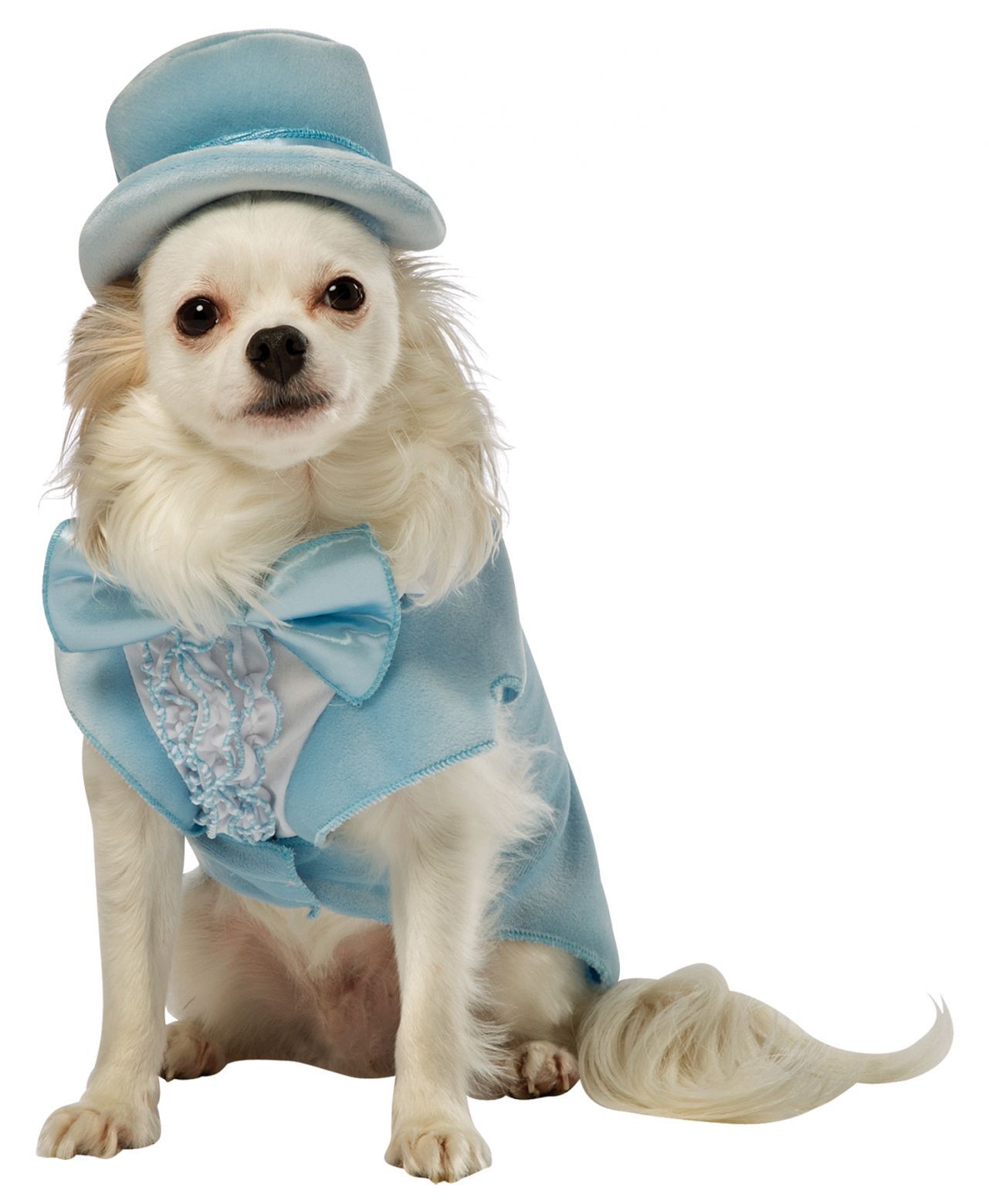 dumb-and-dumb-harry-dog-xxl-costume-20.png