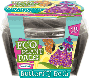 eco-plant-pals-grow-your-own-butterfly-beth-24.jpg