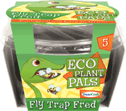 eco-plant-pals-grow-your-own-flytrap-fred-25.jpg