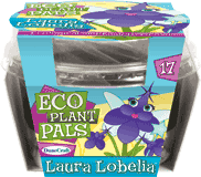 eco-plant-pals-grow-your-own-laura-lobelia-25.jpg