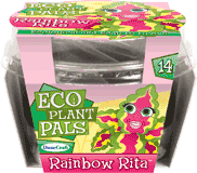 eco-plant-pals-grow-your-own-rainbow-rita-24.jpg