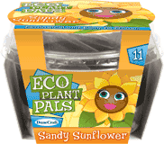 eco-plant-pals-grow-your-own-sandy-sunflower-24.jpg