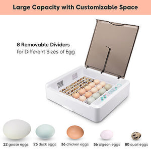 egg-incubator-36-chick-duck-turkey-hatcher-kids-gift-auto-turning-w-led-candler-69.png