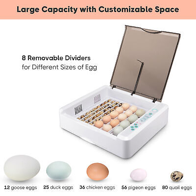 egg-incubator-36-chick-duck-turkey-hatcher-kids-gift-auto-turning-w-led-candler-69.png