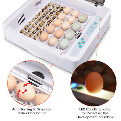 egg-incubator-36-chick-duck-turkey-hatcher-kids-gift-auto-turning-w-led-candler-71.png
