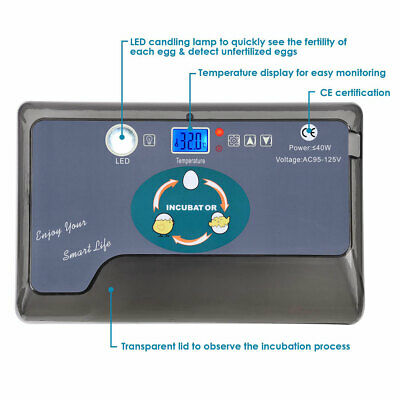 egg-incubator-9-35-chicken-brooder-bird-quail-digital-hatcher-lab-home-kids-gift-42.png