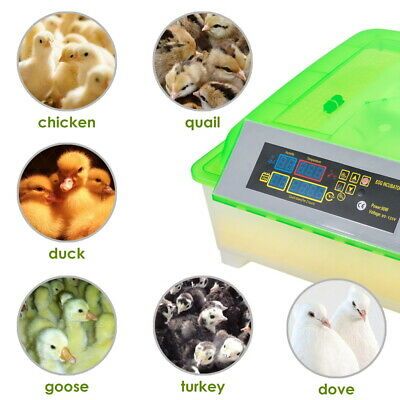 egg-incubator-chicken-duck-goose-quail-hatcher-farm-56-eggs-automatic-turning-35.png