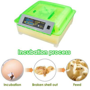 egg-incubator-chicken-duck-goose-quail-hatcher-farm-56-eggs-automatic-turning-39.png