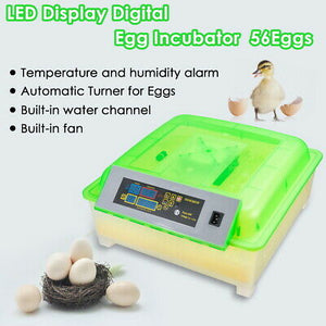 egg-incubator-chicken-duck-goose-quail-hatcher-farm-56-eggs-automatic-turning-43.png