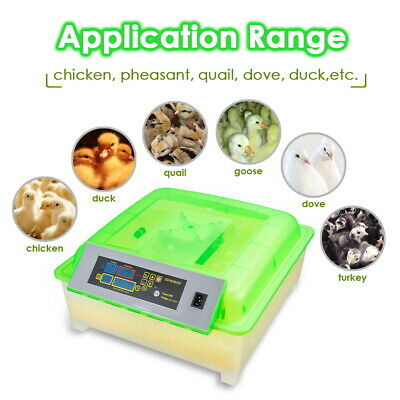 egg-incubator-chicken-duck-goose-quail-hatcher-farm-56-eggs-automatic-turning-45.png