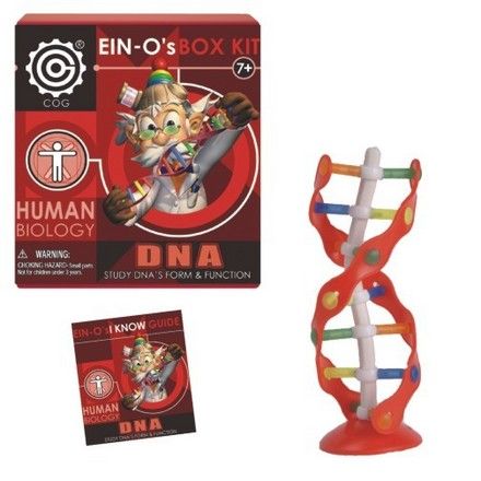 ein-o-s-dna-box-kit-24.png
