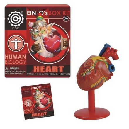 ein-o-s-heart-box-kit-24.png