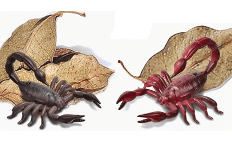 Electric Scorpion Remote Control Toy RC Animal