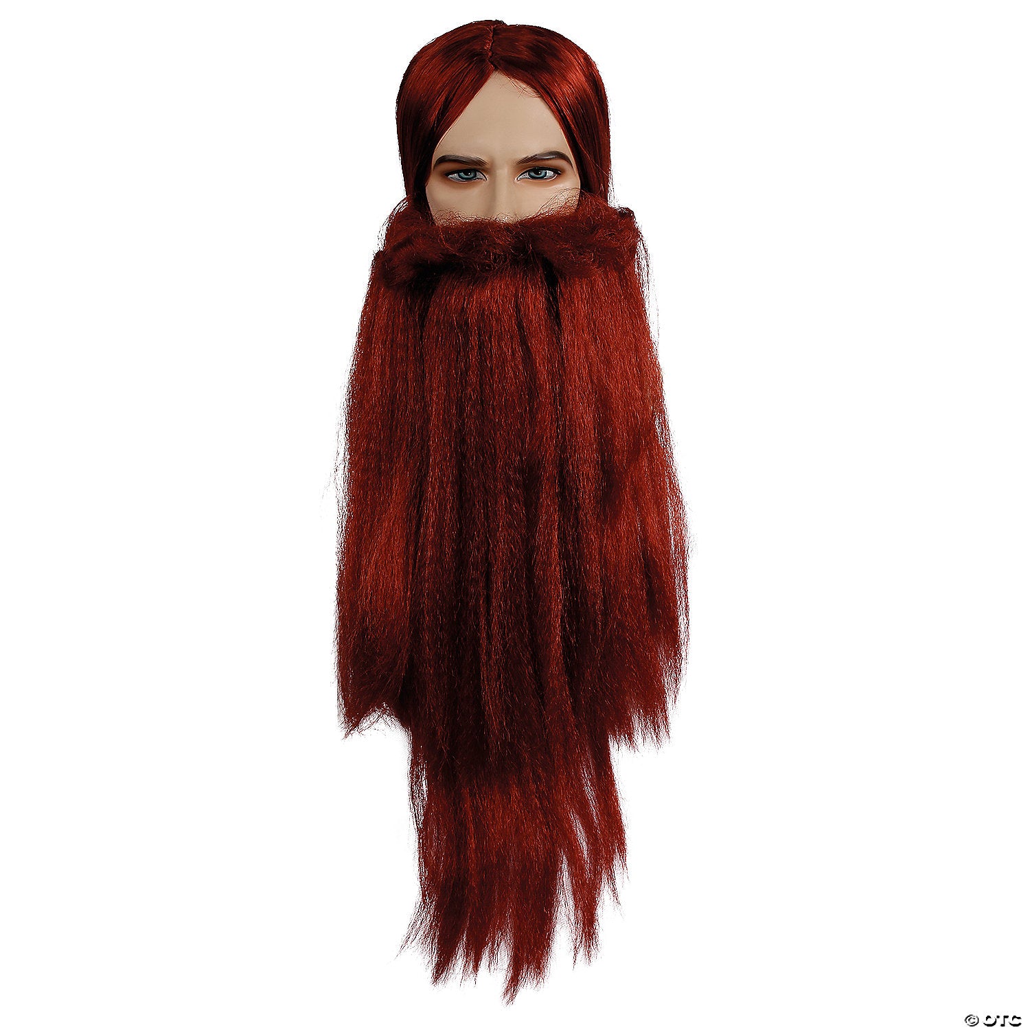 wizard wig & beard set~lw652au