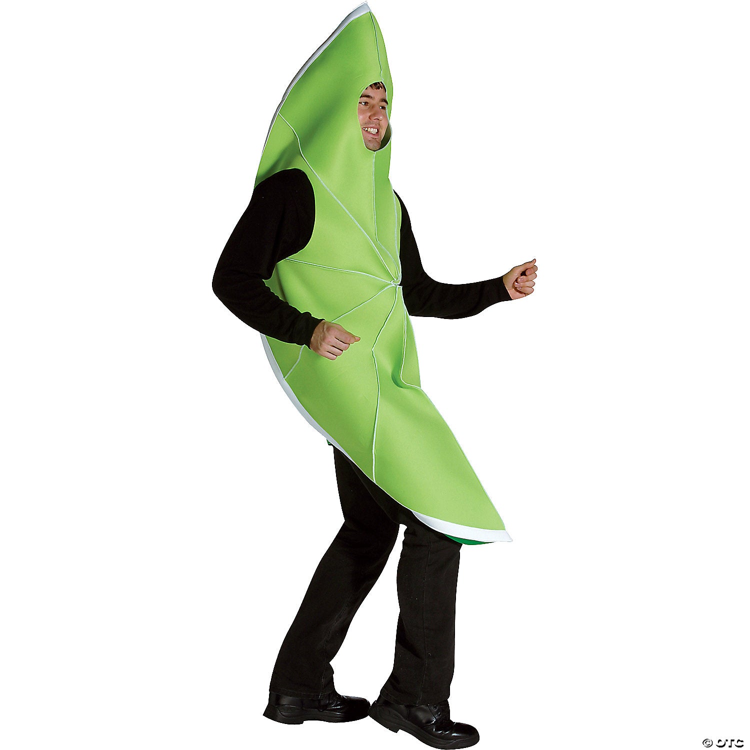 adult lime costume~gc7099