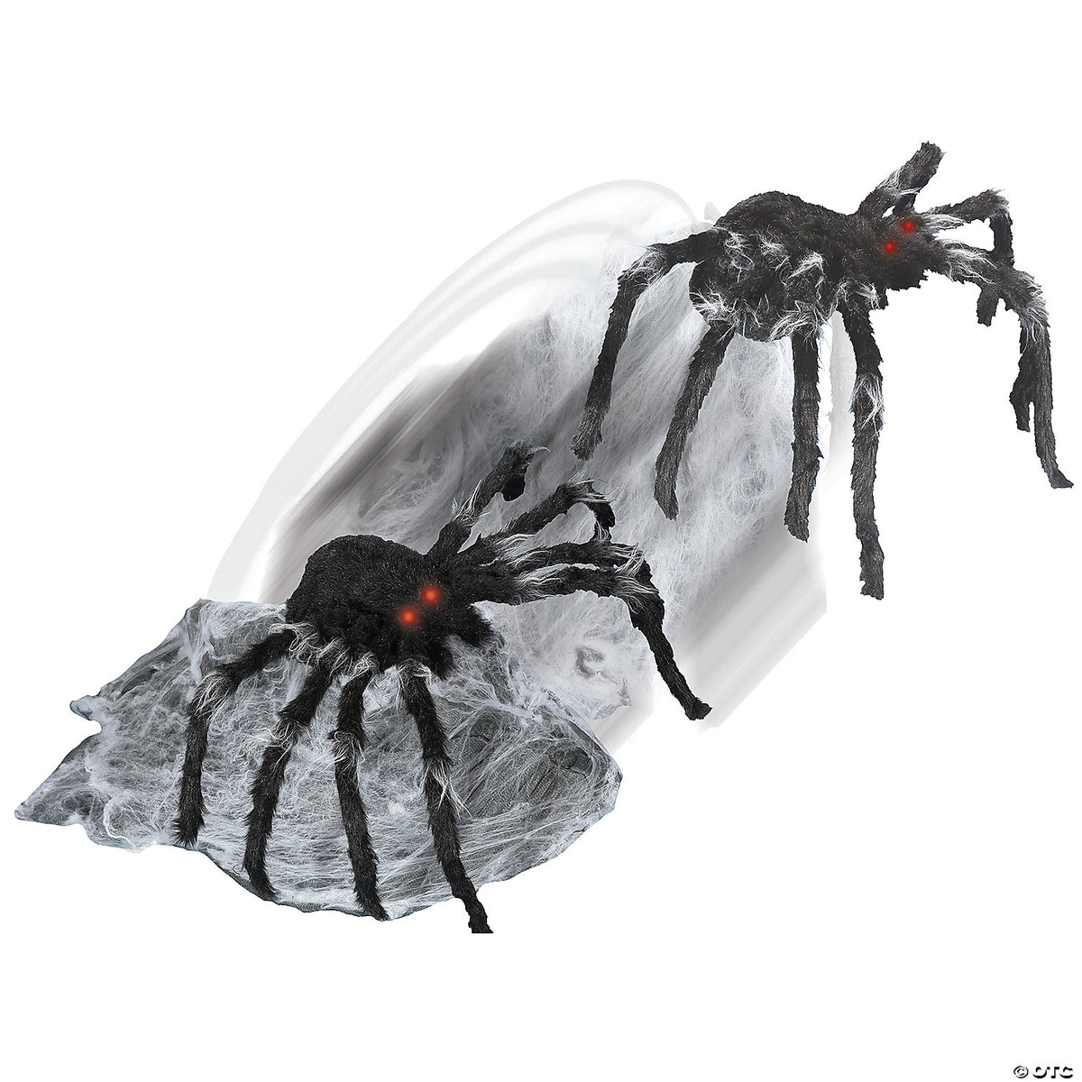 jumping spider~tt56018-a01