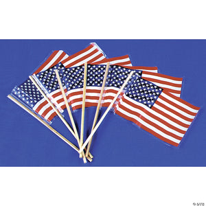 american flag~ma76-a01
