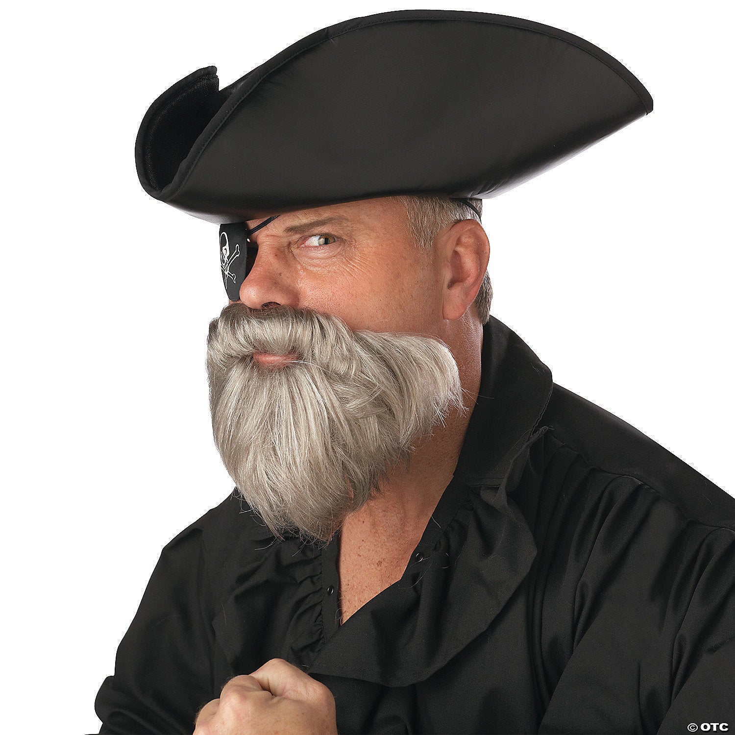 adult s gray captain s beard & mustache~cc70097