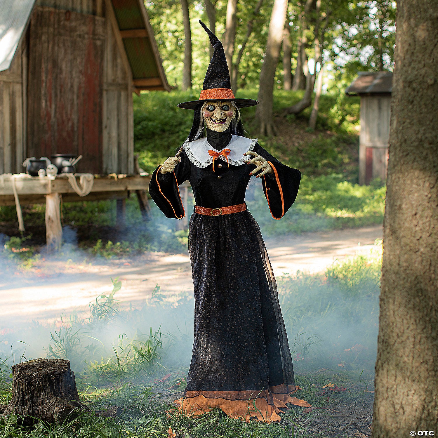 7  animated whimsical witch~mr125067-a01