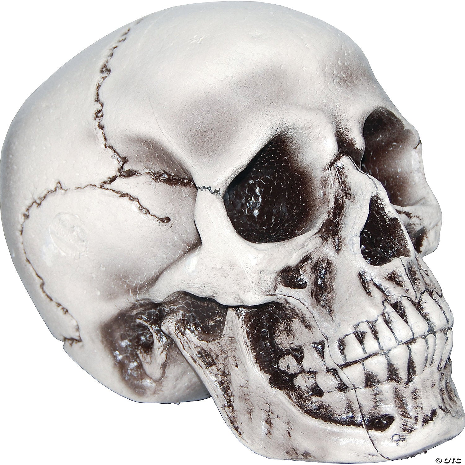 beige skull halloween decoration~ss83124