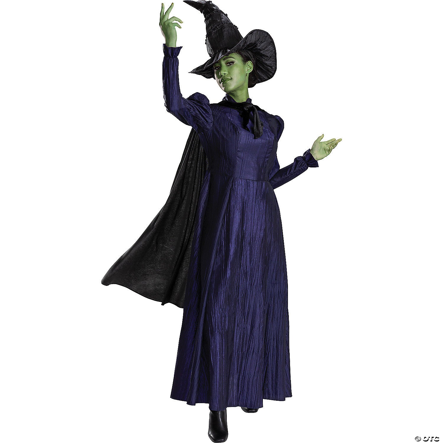 elphaba deluxe adult l~dg166409e