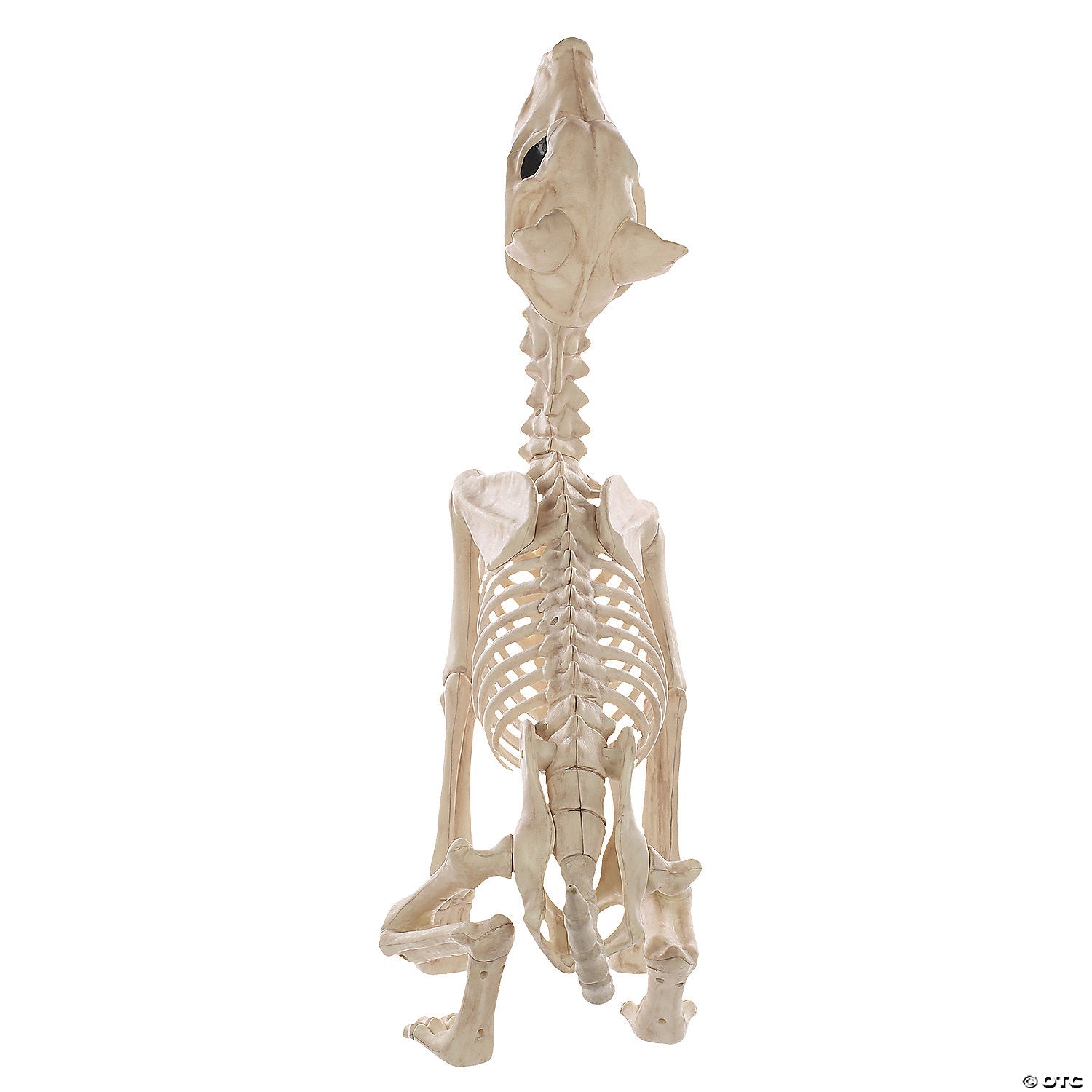 howl at the moon wolf skeleton decoration~sew80327-a03
