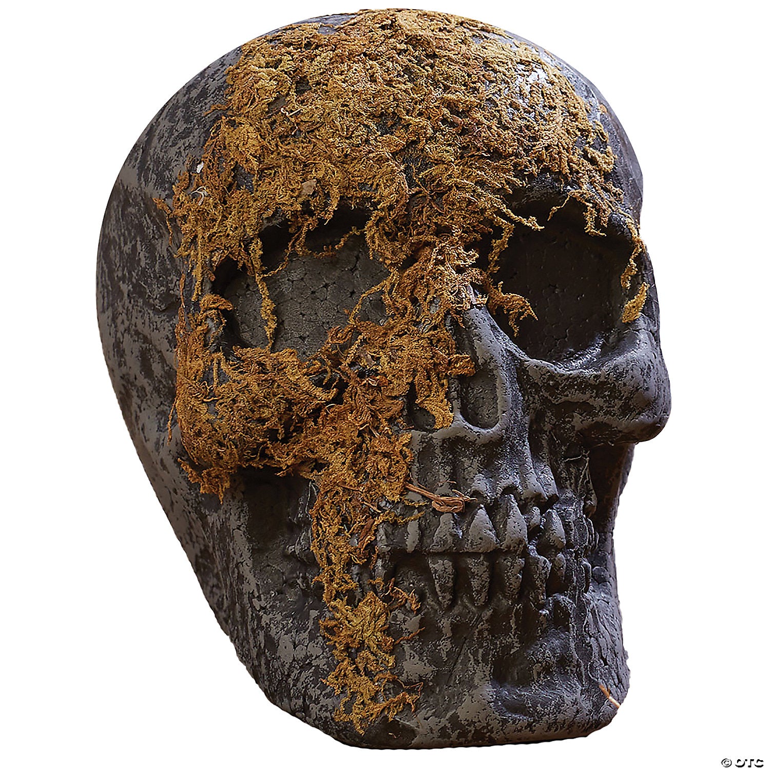 skull moss covered with jaw~fw91592j