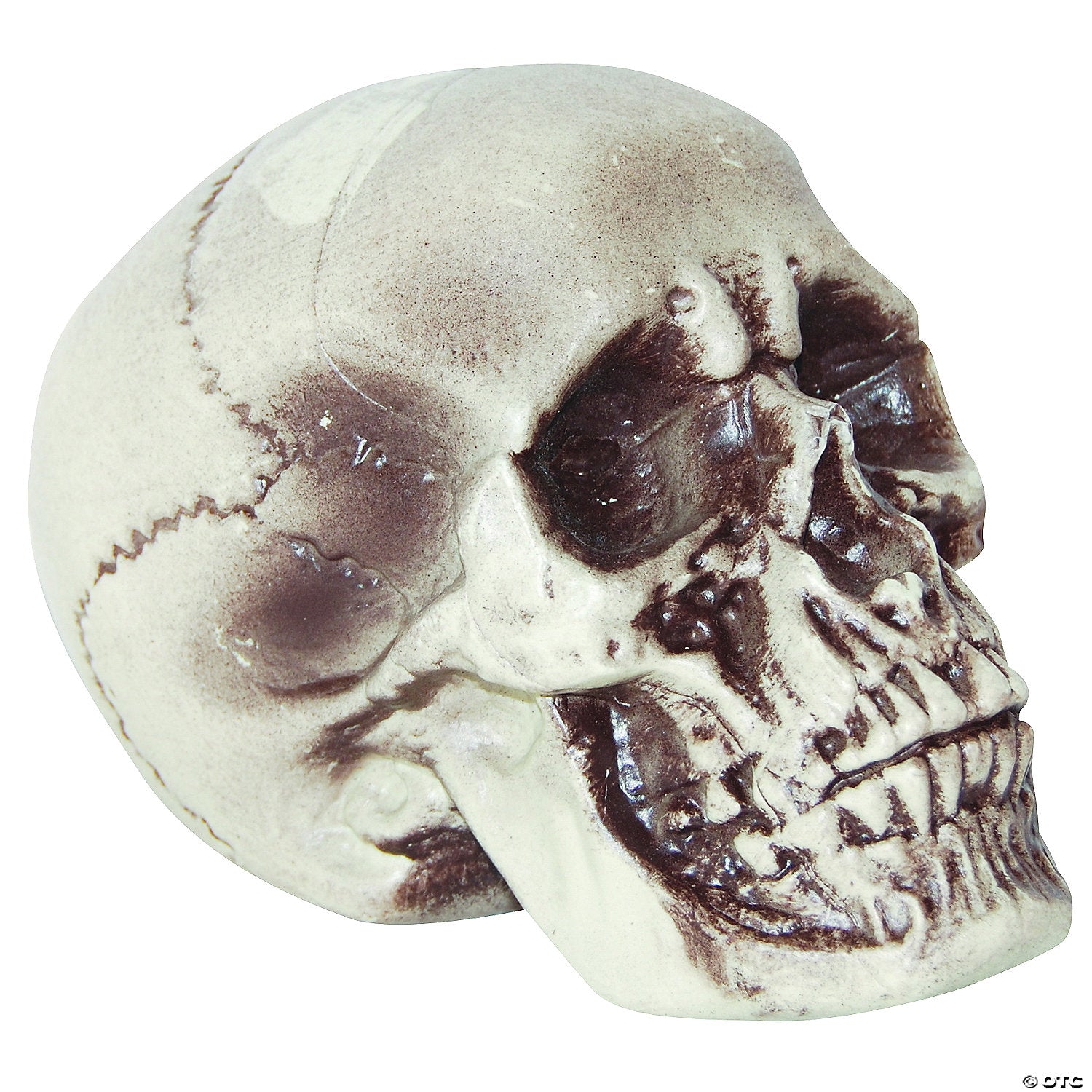 realistic skull decoration~ss72202