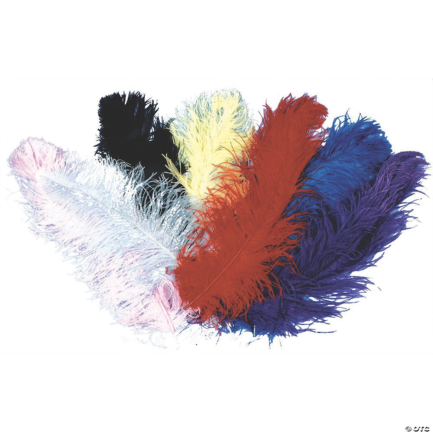 jumbo ostrich plume~bb06wt