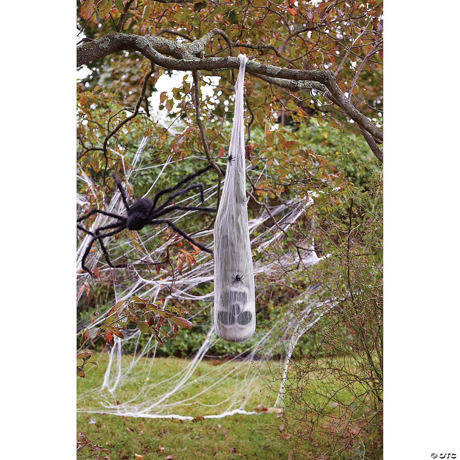 skull in spider cocoon~fw91073