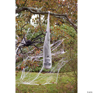 skull in spider cocoon~fw91073
