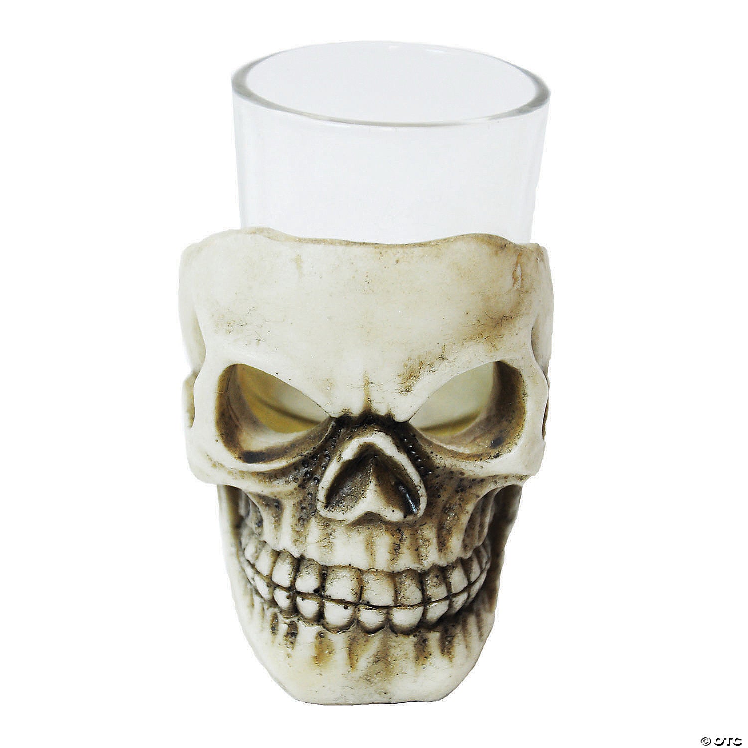 3 5  skull shot glass~ss89013