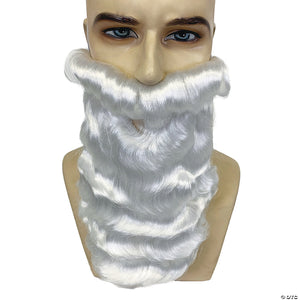 adults santa beard & mustache~ae25b