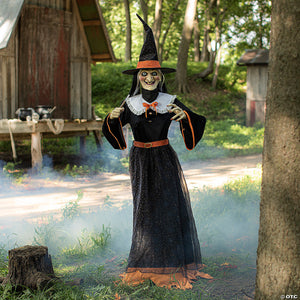 7  animated whimsical witch~mr125067-a01