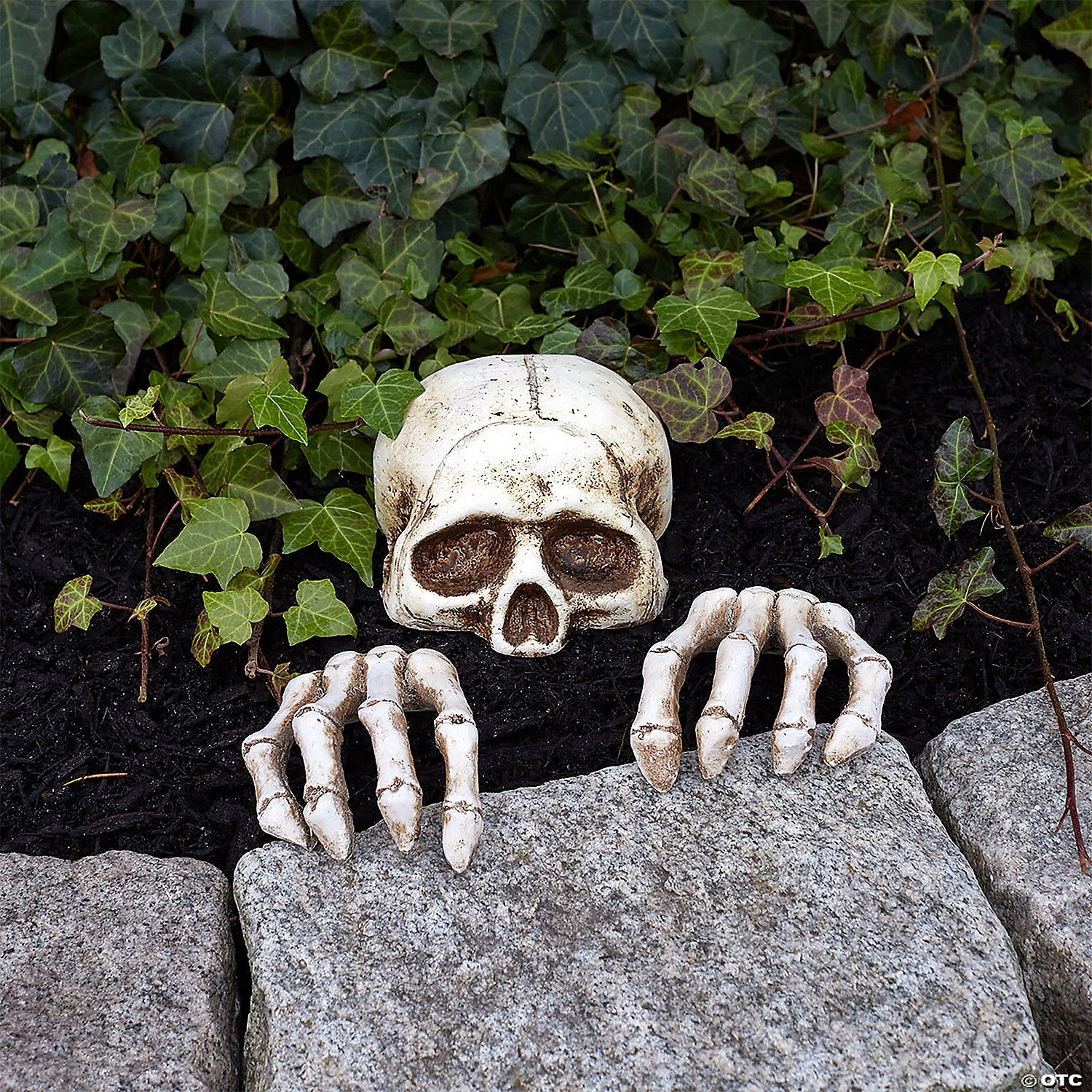 skeleton groundbreaker decoration set~fw91498-a01