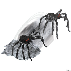 jumping spider~tt56018-a01