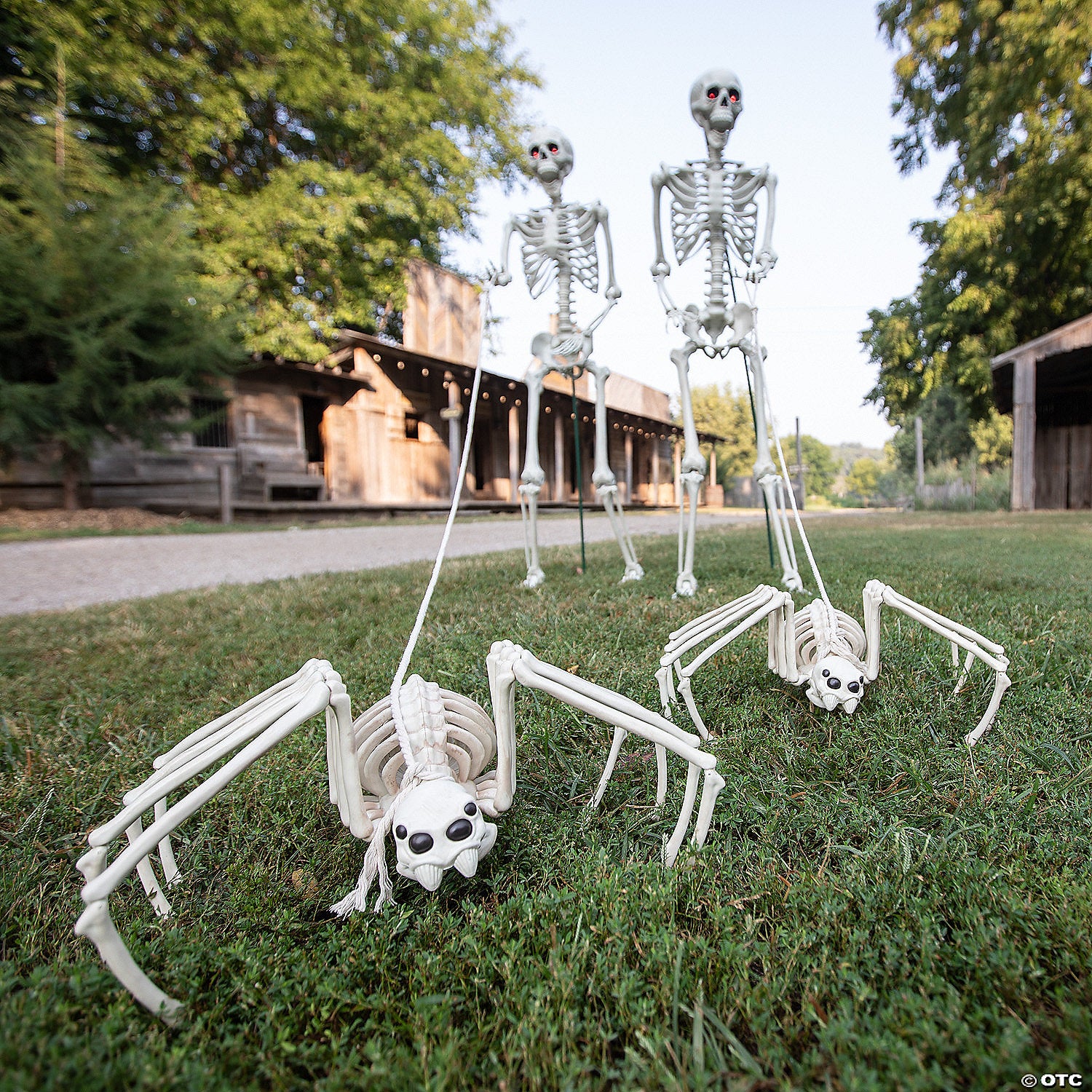 spider skeleton halloween decoration~sew81228-a04