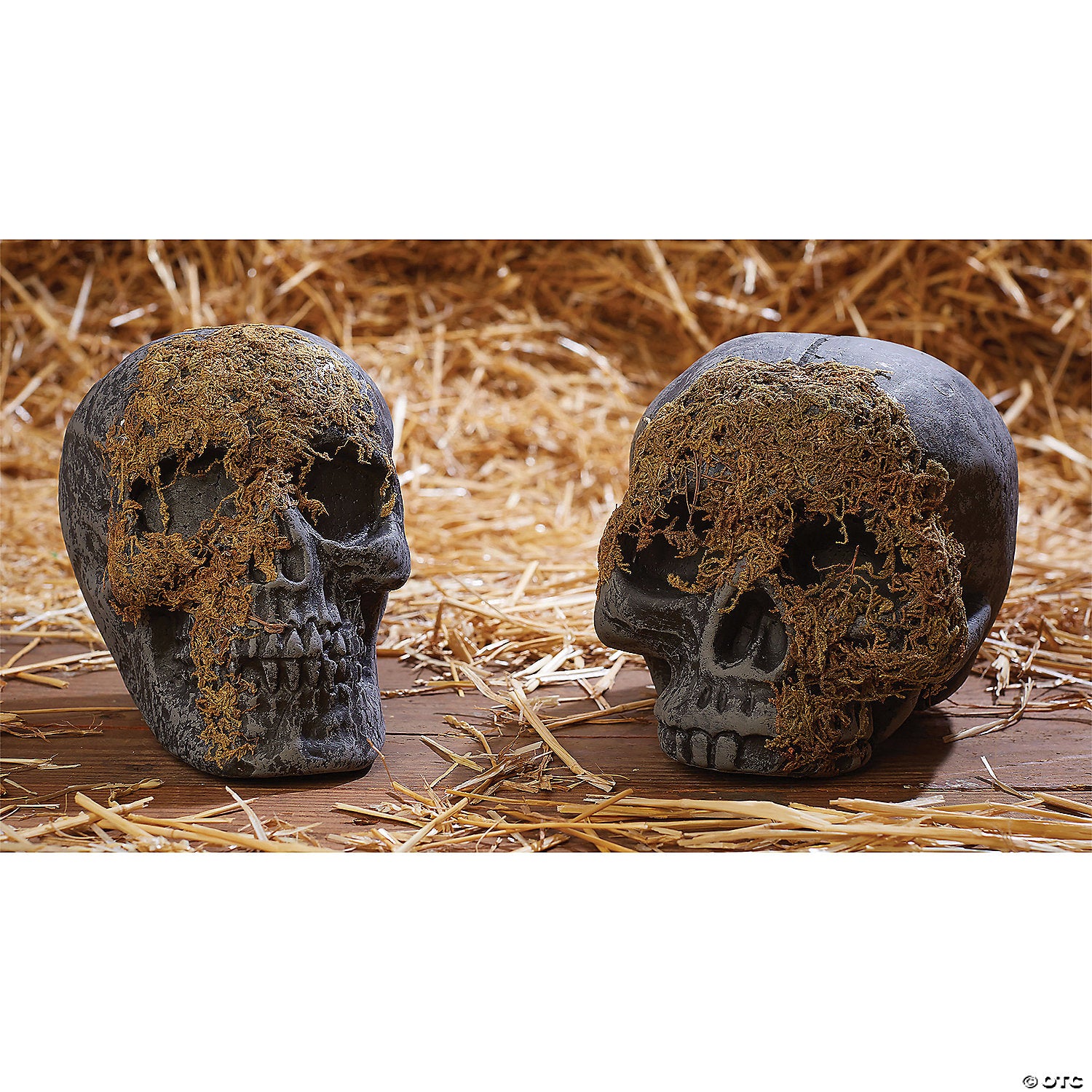 skull moss covered no jaw~fw91592nj