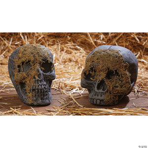 skull moss covered no jaw~fw91592nj