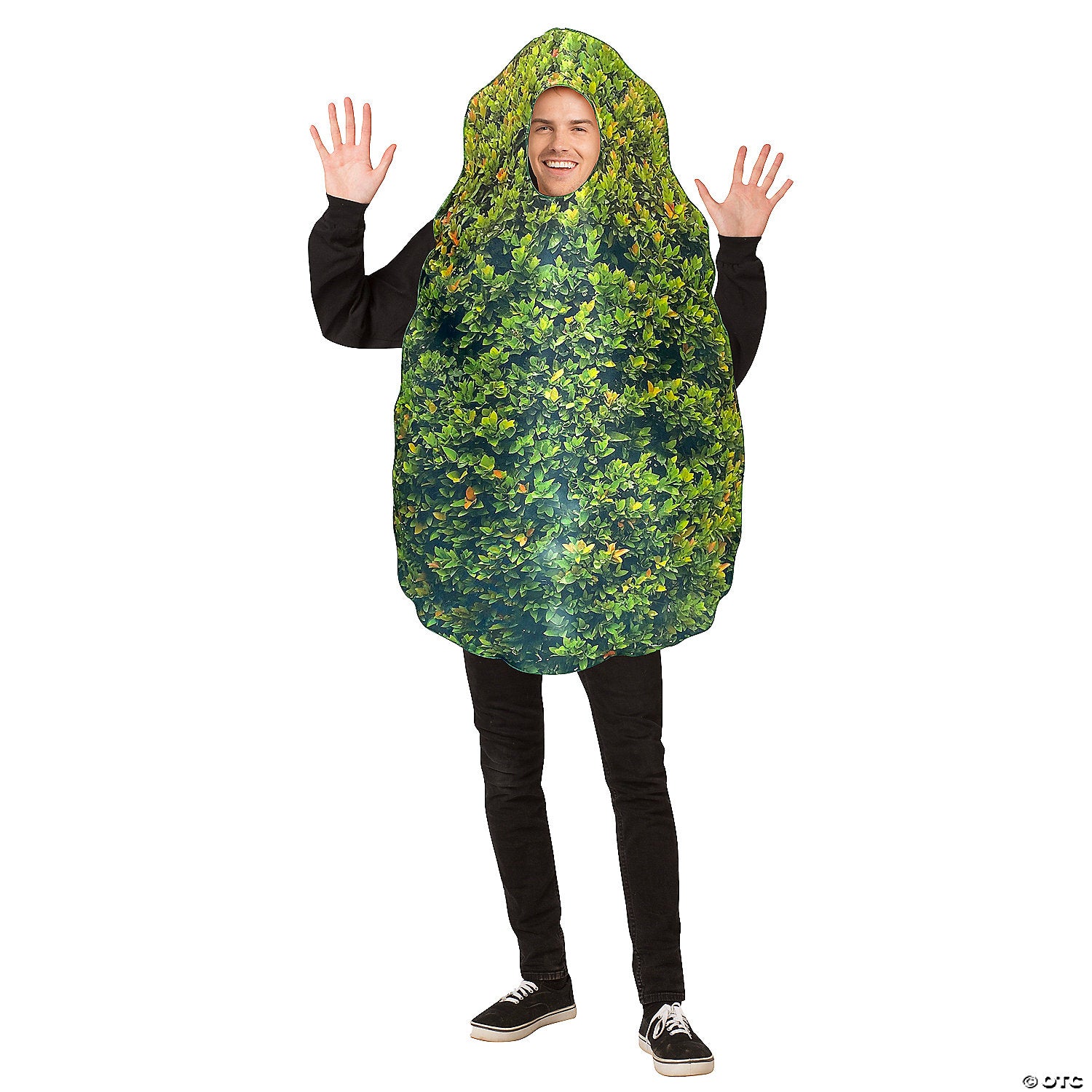 bush~gc1658