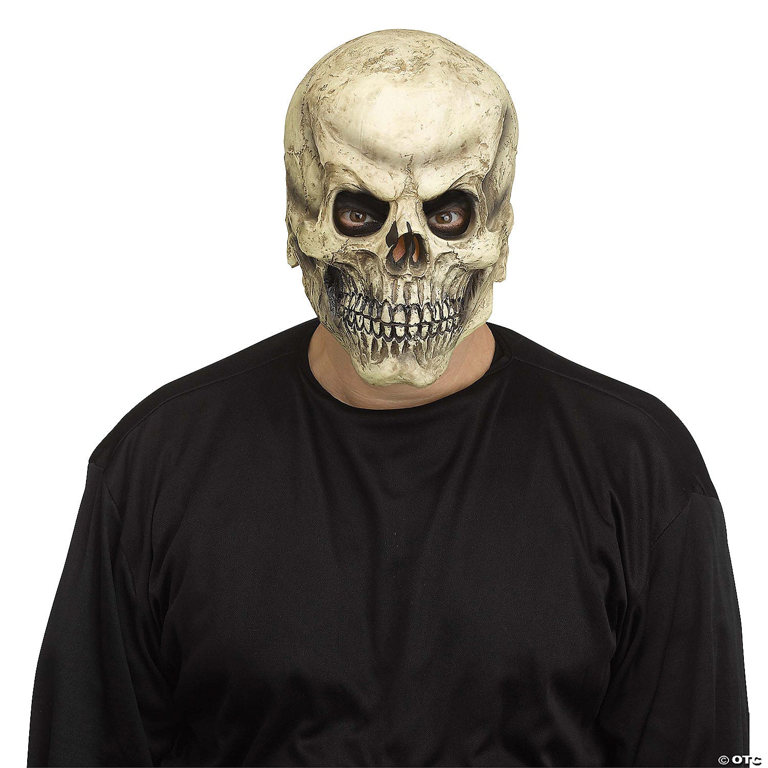 adults brown realistic skull mask~fw93548br