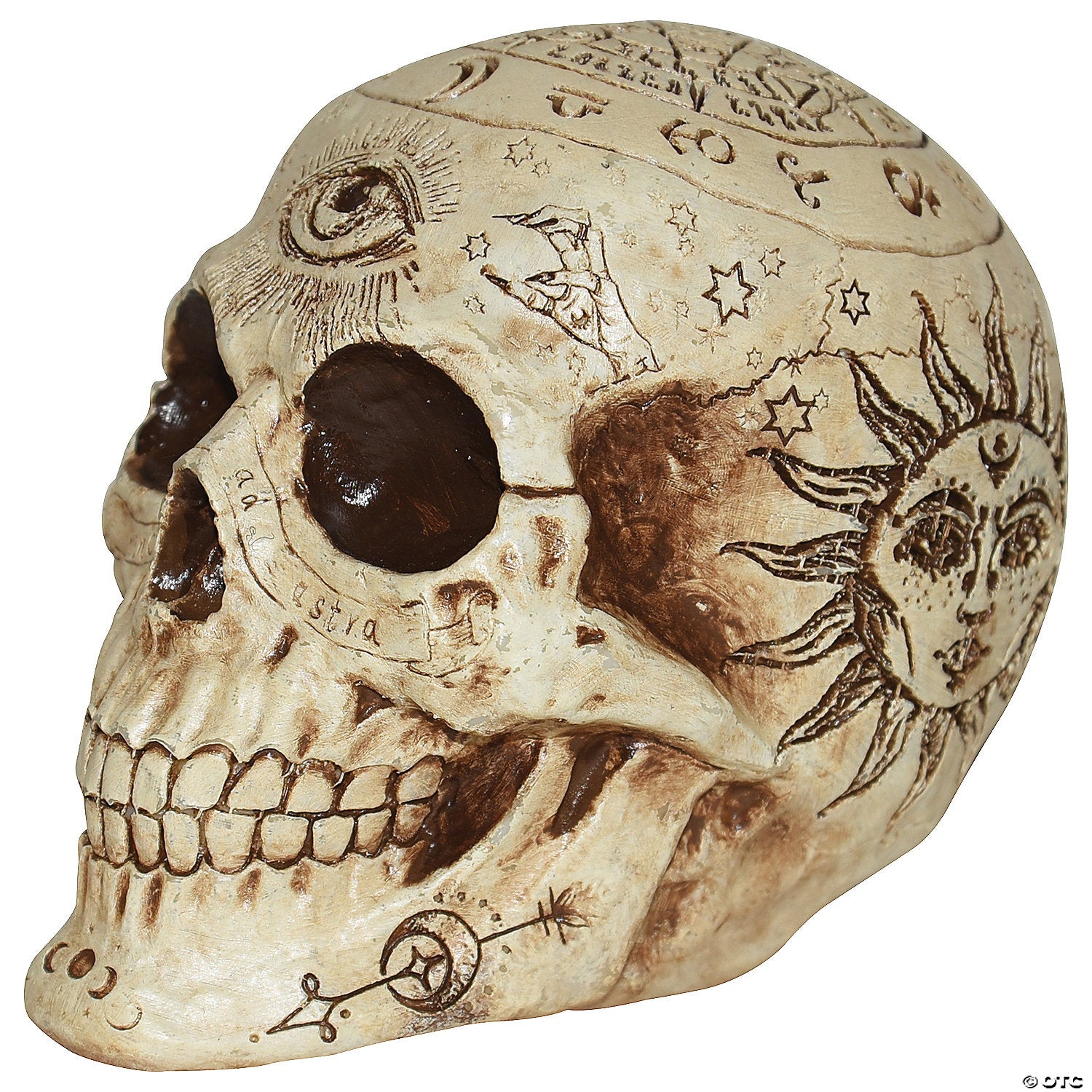 7  zodiac skull halloween decoration~ss64352